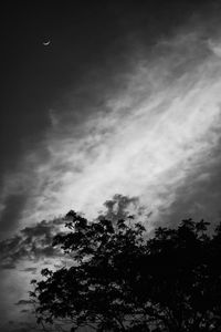 Low angle view of trees against sky