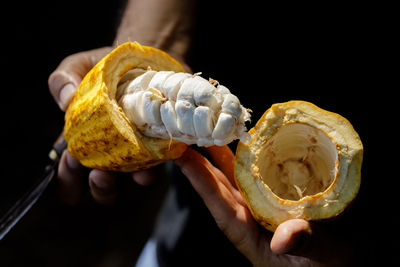 Close-up of hand holding fruit against black background