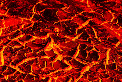 Full frame shot of red leaves