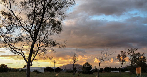 Silhouette bare trees on field against sky at sunset