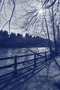 Bare trees by river against sky