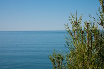 Scenic view of sea against clear blue sky