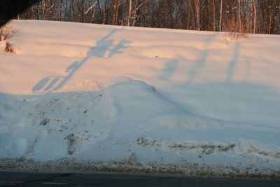 Close-up of snow covered land