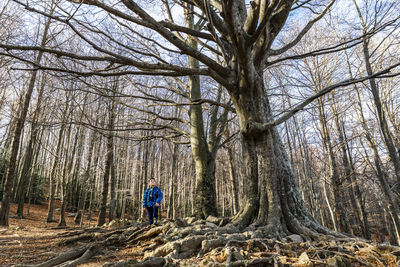 Boy standing in forest during autumn