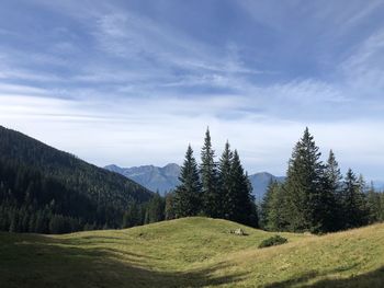 Scenic view of landscape against sky