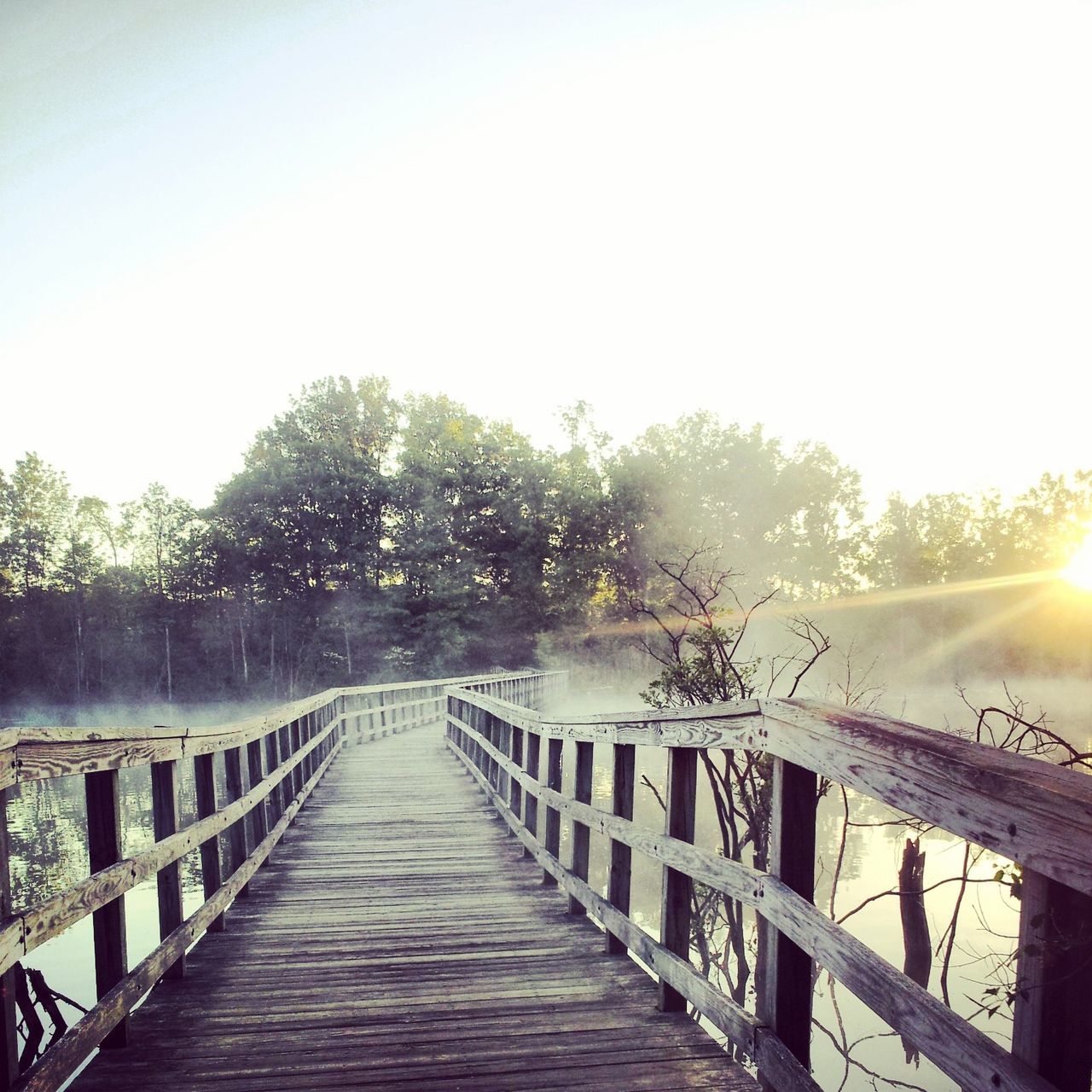 the way forward, railing, clear sky, water, built structure, diminishing perspective, footbridge, bridge - man made structure, connection, tranquility, tree, nature, architecture, walkway, sunlight, wood - material, pier, tranquil scene, vanishing point, boardwalk