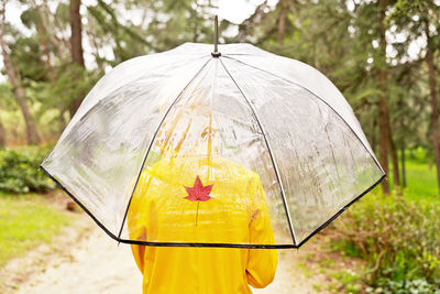 Close-up of red umbrella