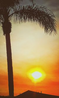 Low angle view of silhouette palm trees against sky during sunset