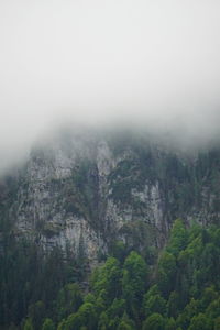 beauty in nature