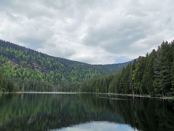 Scenic view of lake amidst trees in forest against sky