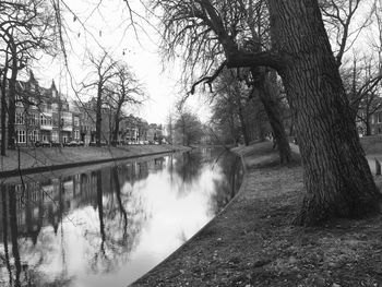 Scenic view of trees against sky