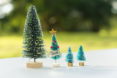 Close-up of christmas decoration on tree