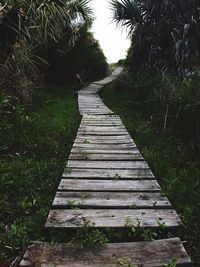 Narrow pathway along plants