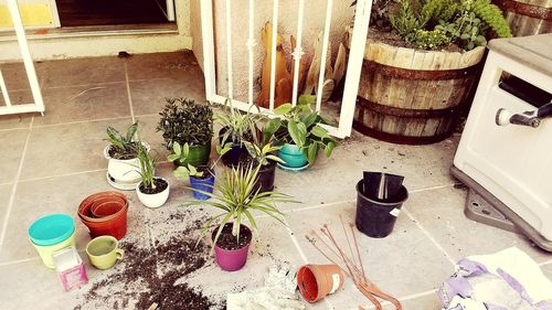 High angle view of potted plants on table at home