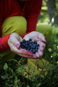 Close-up of hand holding fruit