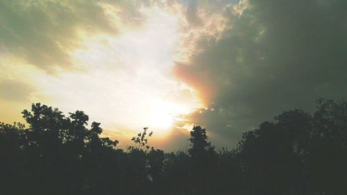 Silhouette trees against sky during sunset