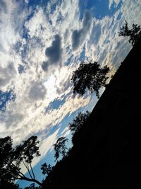 Low angle view of silhouette trees against sky