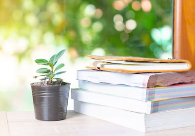 Stack of book and mini plant pot on front yard in holiday. the relax time reading book.