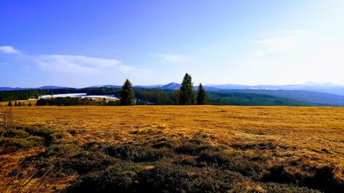 Scenic view of field against sky