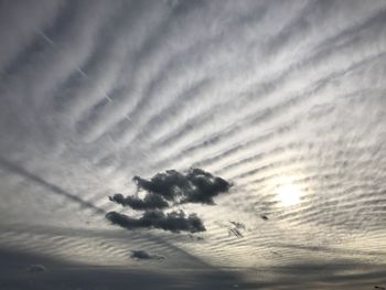 Low angle view of silhouette plants against sky