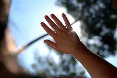 Low angle view of human hand against sky