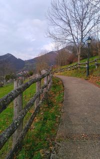 Road amidst plants and trees against sky