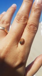 Close-up of hand holding insect