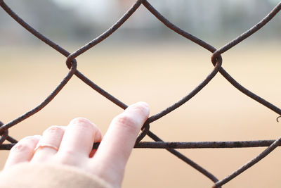 Close-up of hand holding chainlink fence