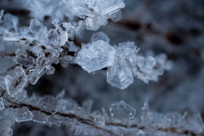 Close up of frozen water