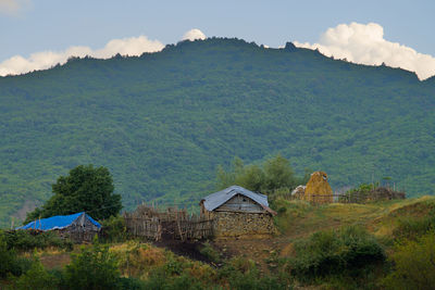 mountain