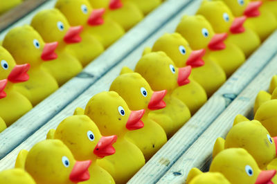 A bunch of yellow plastic ducks with red beaks, toy animals