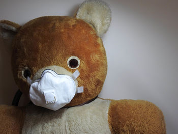 Close-up of stuffed toy