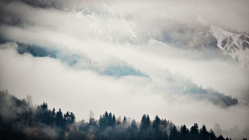 Panoramic view of trees and mountains against sky