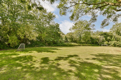 Trees on field