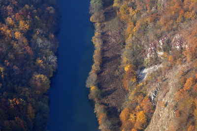 Aerial view of the autumn on the mrežnica river, croatia