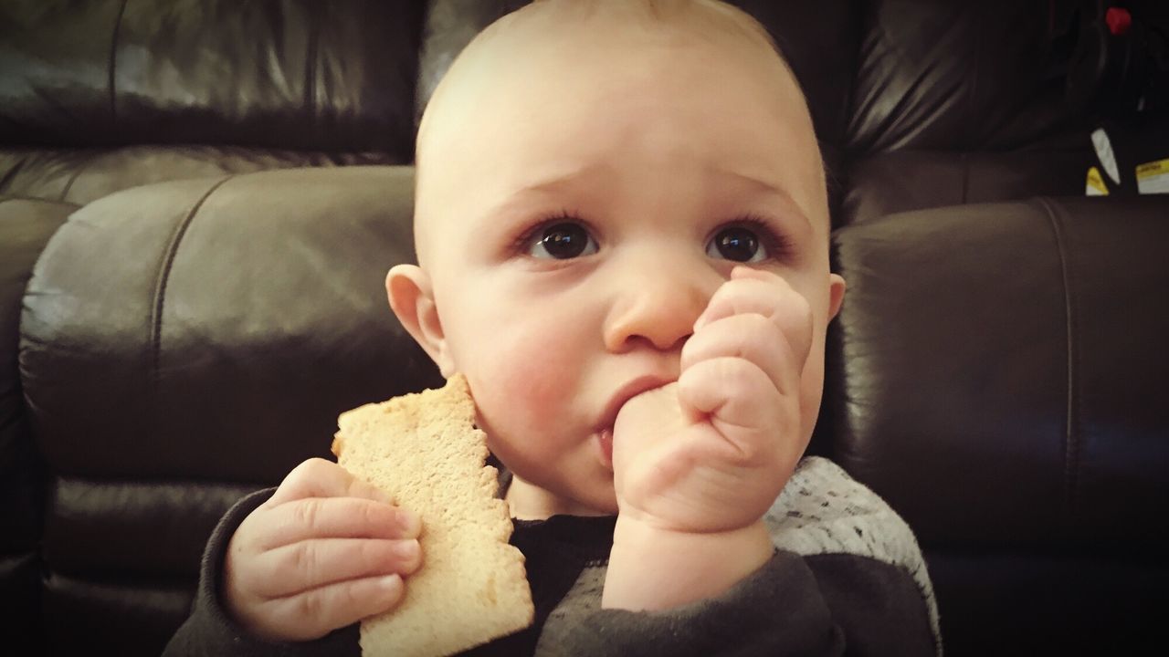 indoors, childhood, cute, innocence, baby, elementary age, close-up, babyhood, holding, person, home interior, lifestyles, food and drink, food, headshot, boys, toddler, sweet food