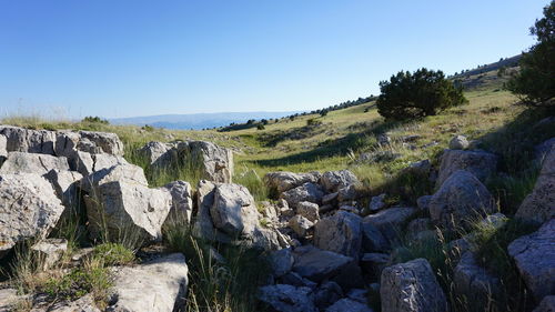 Panoramic view of landscape against clear sky