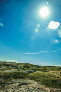 Scenic view of landscape against blue sky on sunny day