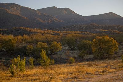 Scenic view of landscape and mountains against sky