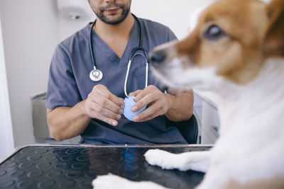 Midsection of veterinarian holding bandage while puppy sitting on table in hospital