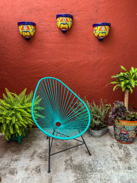 Close-up of potted plants on wall