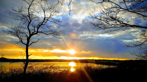 Silhouette trees on field against sky at sunset