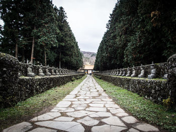 Walkway amidst trees against sky