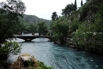 Bridge over river in forest against sky
