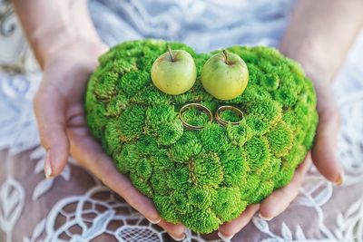 Close-up of person holding apple