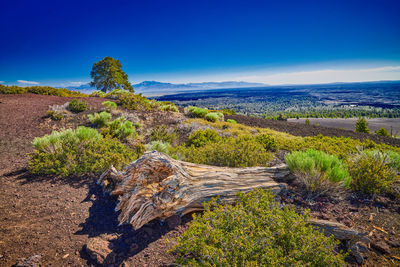 Scenic view of landscape against blue sky