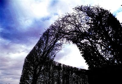 Low angle view of cloudy sky