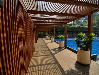 Potted plants by swimming pool in building