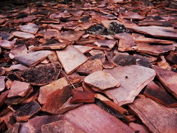 Full frame shot of cobblestone