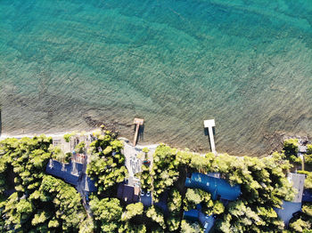 High angle view of plants by sea